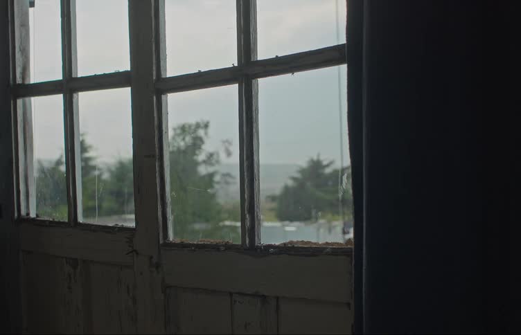 The forest is outside the window