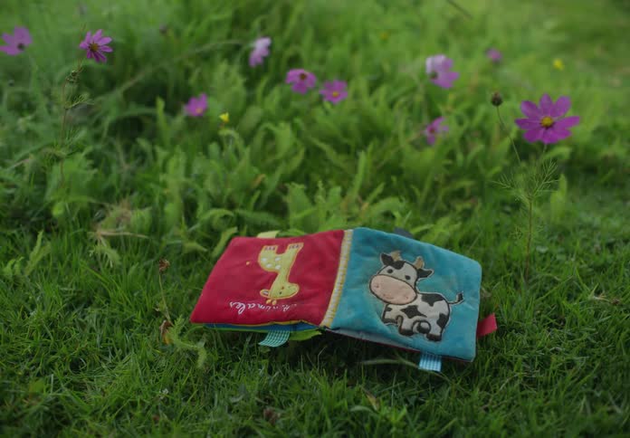 A childs book or wallet laying over the green grass near violet flowers