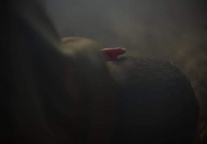 The back of a mans head is seen as he lays motionless on the floor