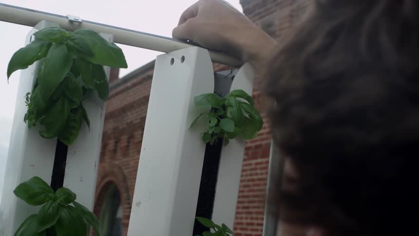 A person hangs a container of plants on a rail on a windy day