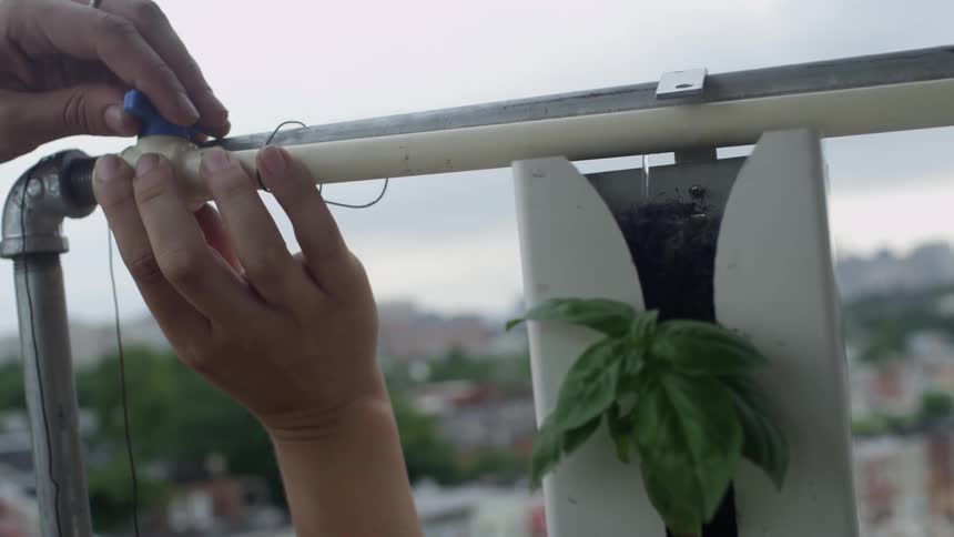 A person turns a blue switch to start water from a pipe