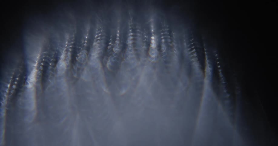 Pale bright cloudy shapes cluster together against darkness