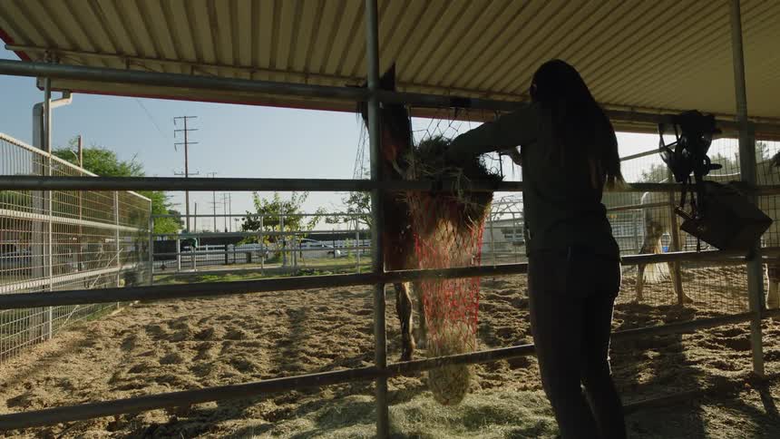 Silhouette of a woman filling a horse feeding bag with hay