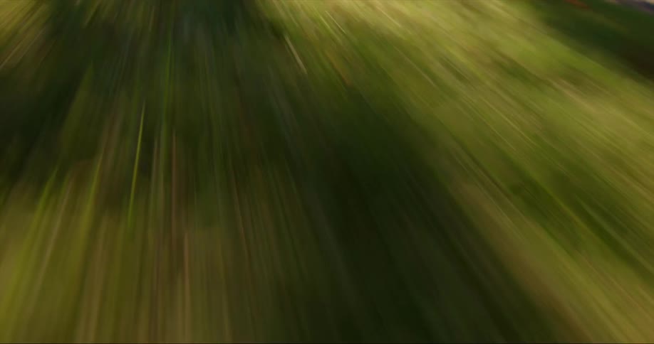 Extreme close up of grass and dead leaves rushing fast underneath