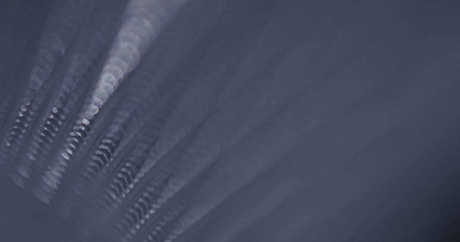 Multiple strands of coiled metallic material have light shined upon their surfaces
