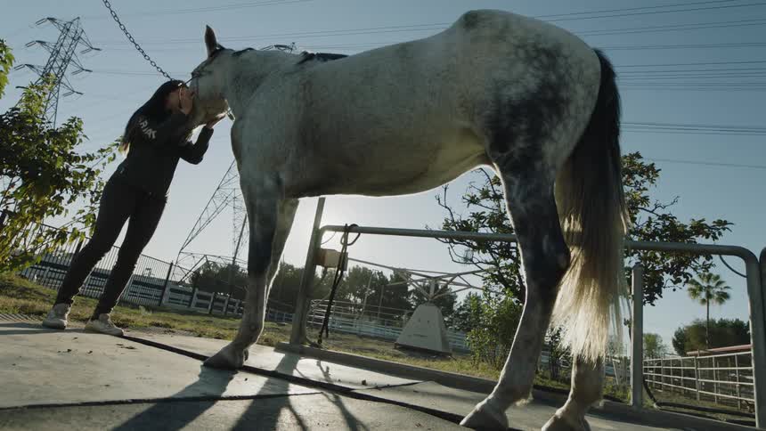 Woman in black jacket and pants holds white horses head