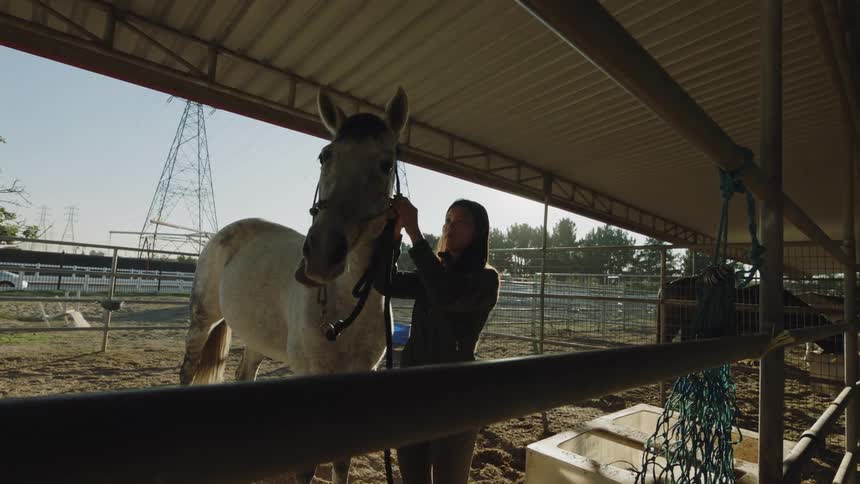 Woman attaches lead to horses halter as they stand in open air barn