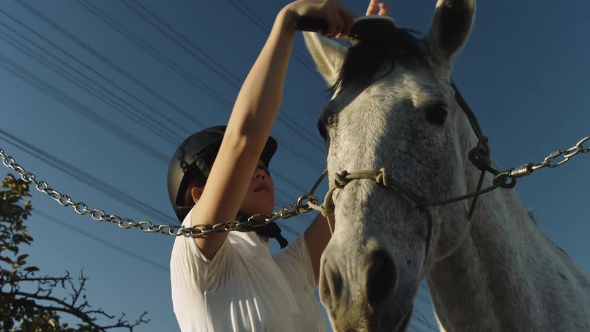 A woman brushes the mane of a horse outdoors on a clear day