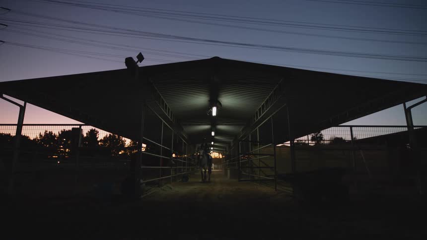 A young white woman is riding her horse at night time