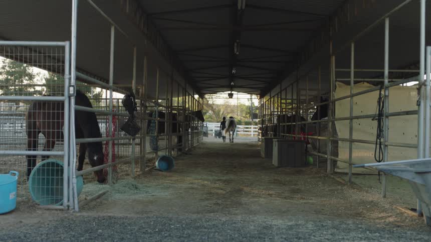 A woman walks away in the distance while leading a horse as other horses eat in their enclosures