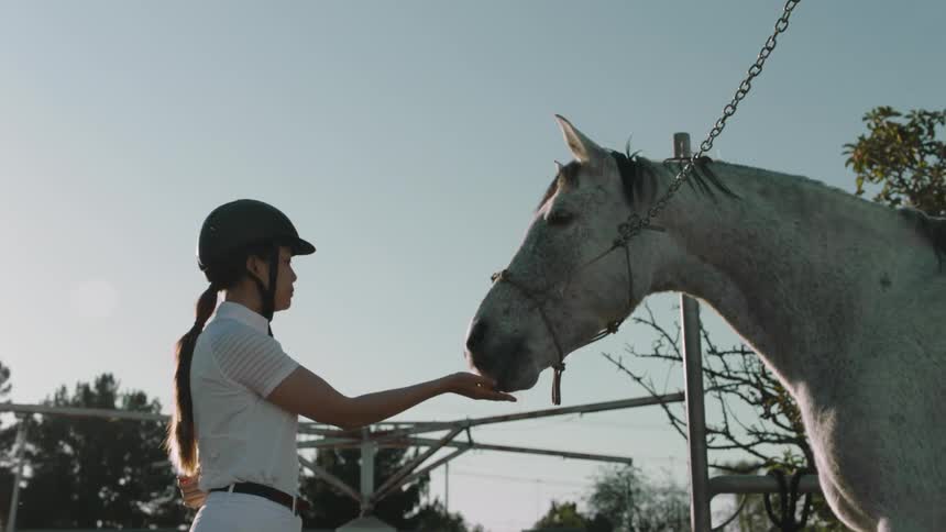A female jockey feeding a snack to her horse at evening