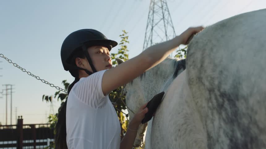 A woman wearing a riding helmet is brushing a horse