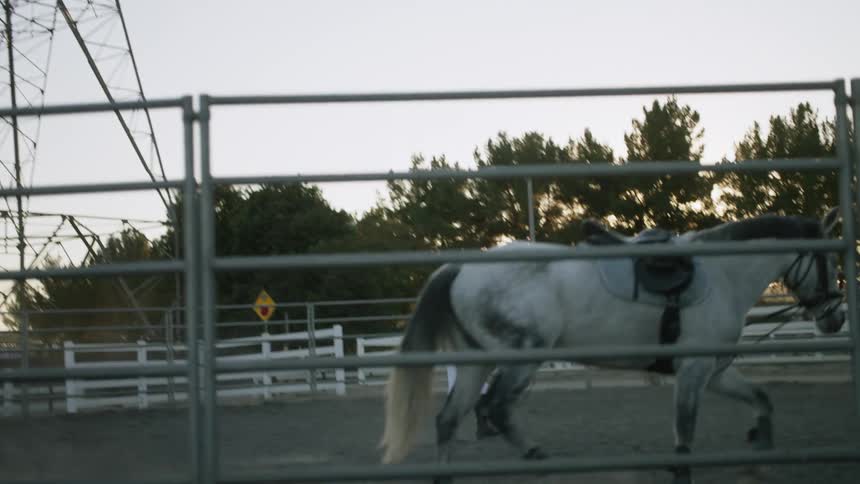Female jockey training a horse on a corral at evening