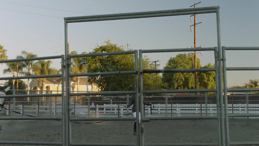 A woman guides her horse around a ring at a stable