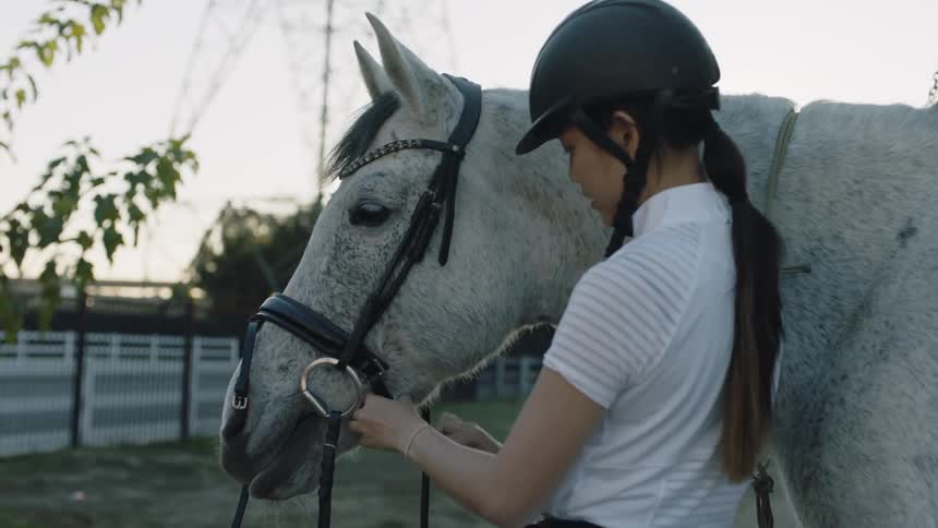 Young female jockey adjusts the reins on the head of a horse at evening