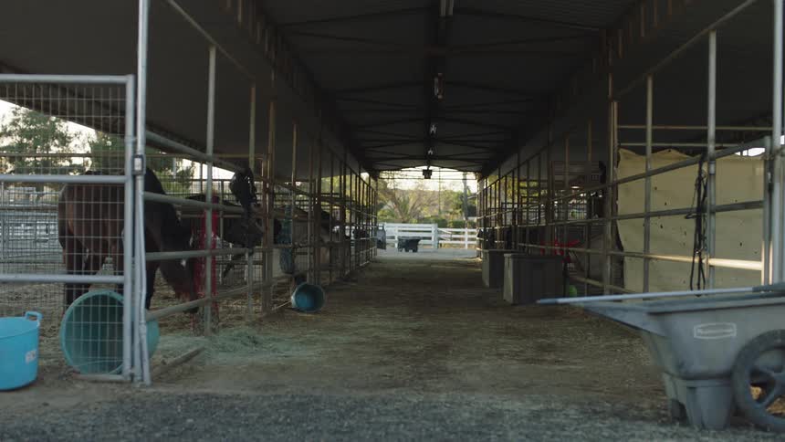 Horses in a stable eating hay