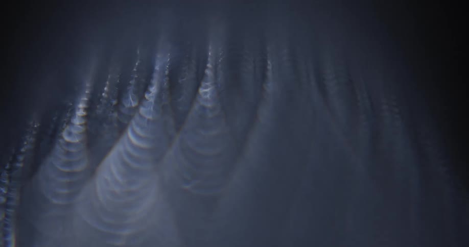 Light is passed over a bundle of metal coil strings that are blurry and obscured