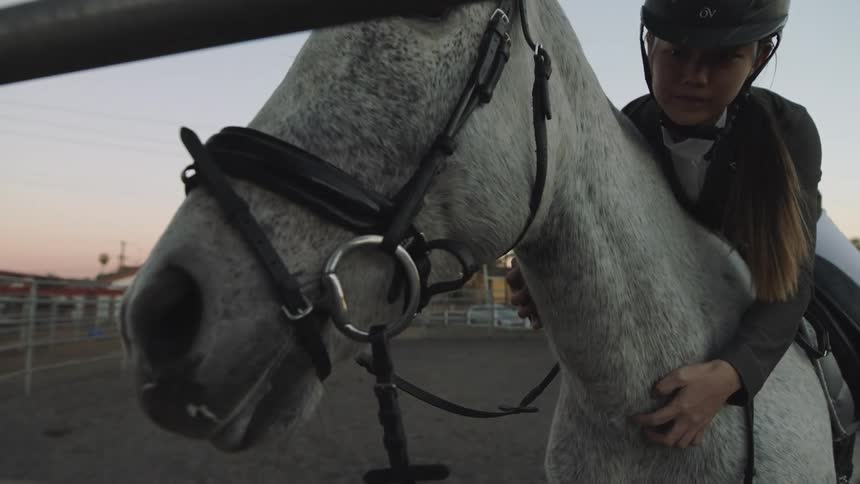 A young woman is getting ready to ride her horse