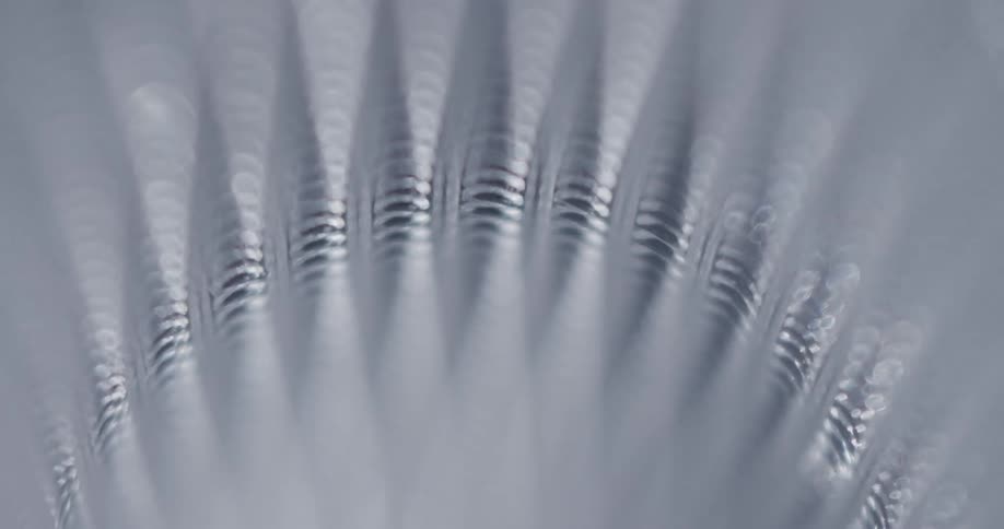 Bright light briefly shines on surface showing surface details of crevices and textured bumps