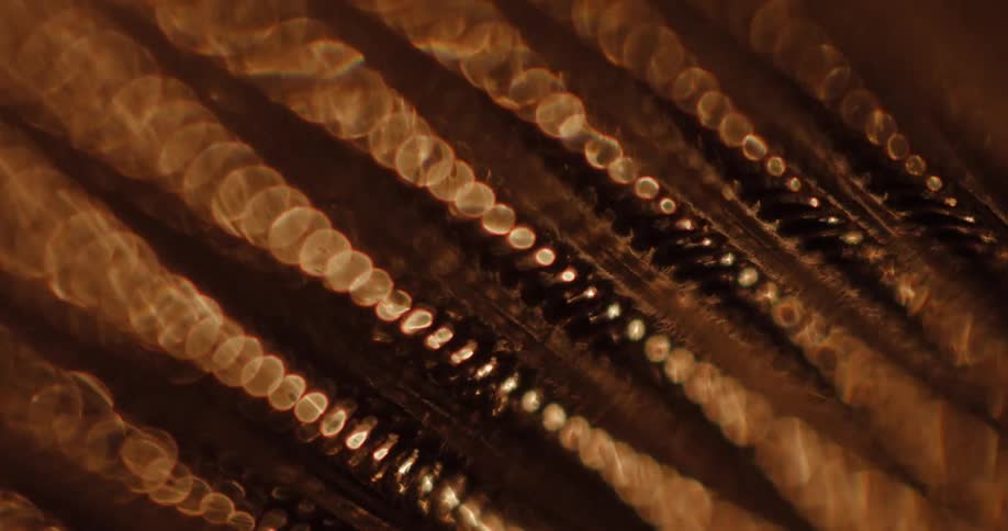 Light is passed over rows of thin metallic coils as they come into and out of focus