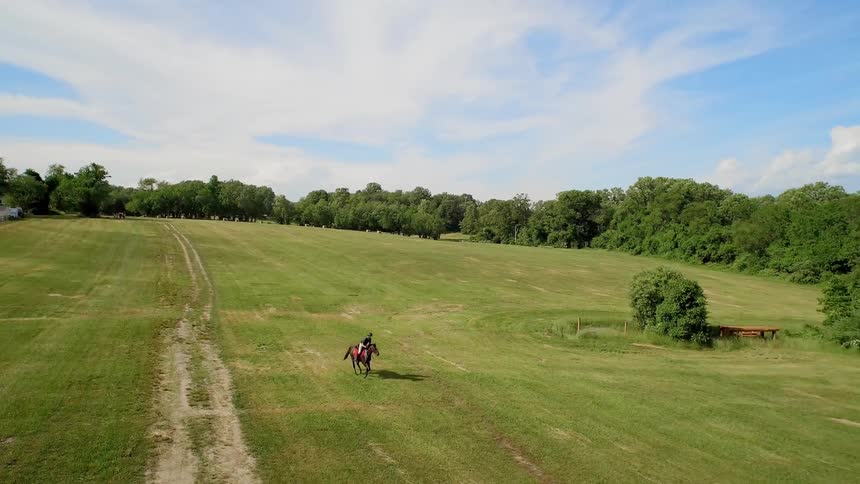 A person riding a horse makes a turn on a field