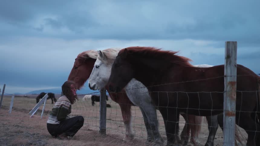 A woman sitting outdoors with horses