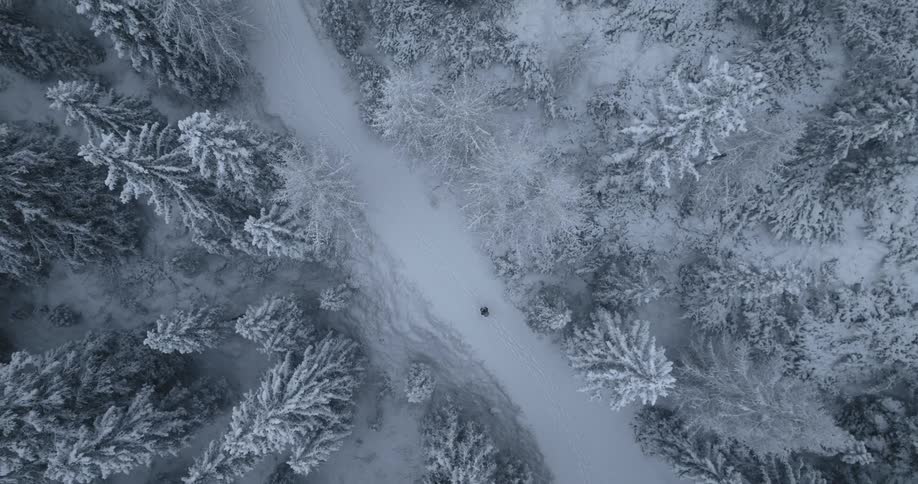 An aerial view of a forest full of snow