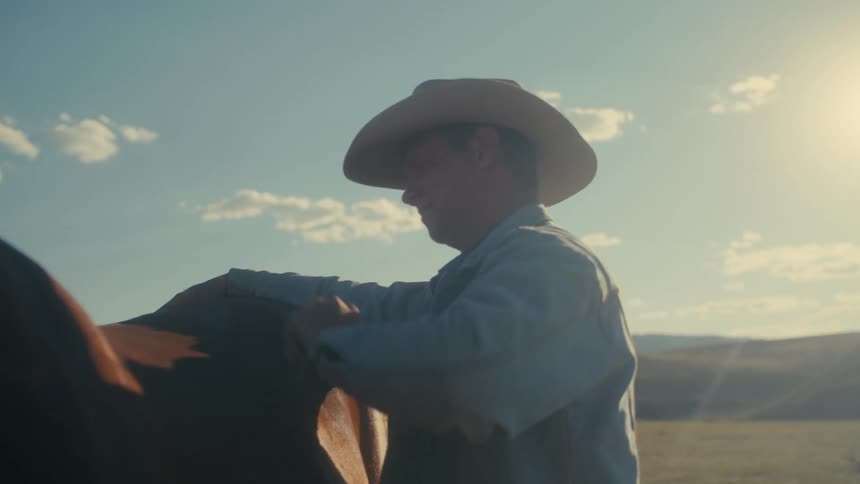 Rancher brushes the fur of a brown cow in the ranch at morning