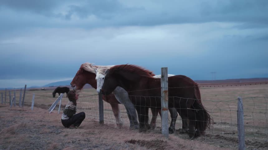 Woman with wavy hair sweater and black pants crouches down looking at horses in the field