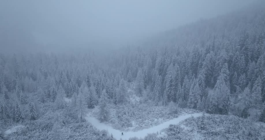 Silhouette of a person walking on a road in a snow covered pine forest during a blizzard