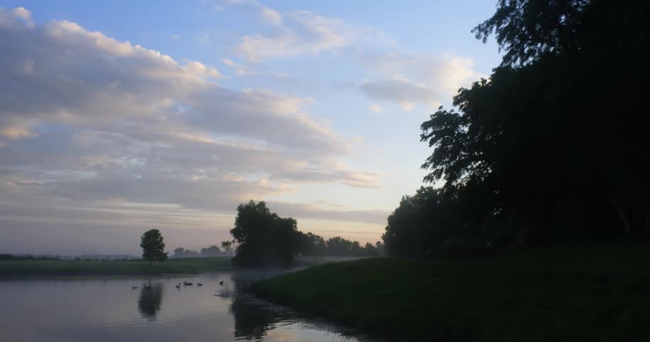 A group of waterfowl swim across a slow moving stream in the misty countryside during the day