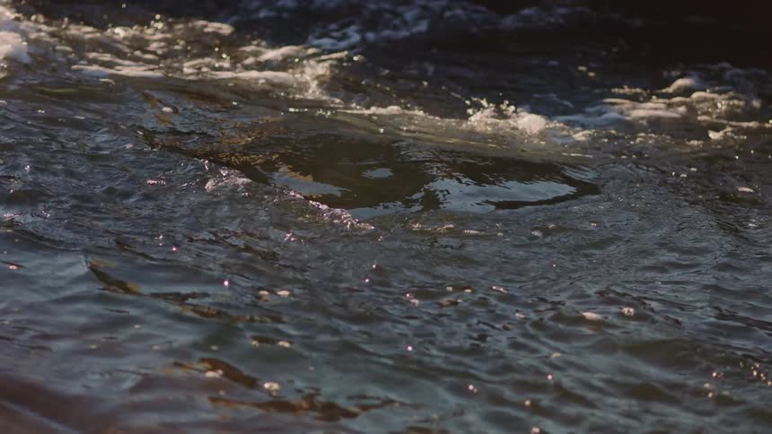 A rippling body of water