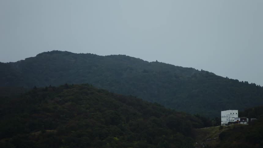 The view is of the forest area in the middle of the day