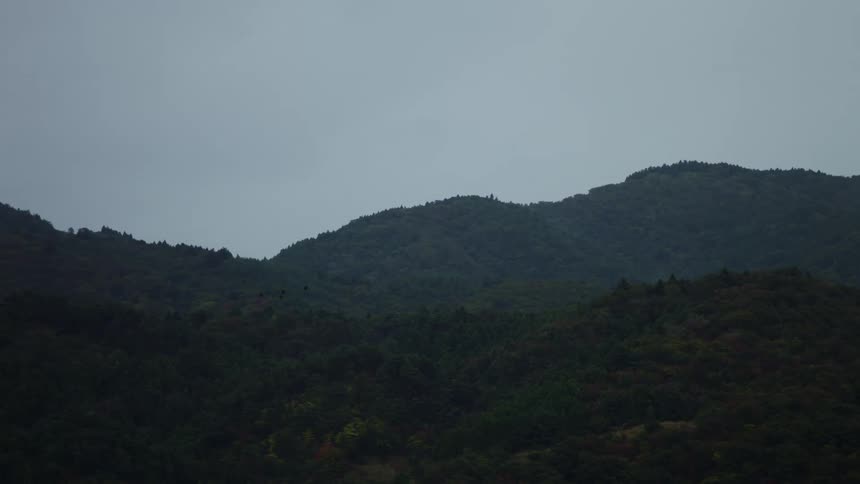 A mountain range covered in forest on a cloudy day