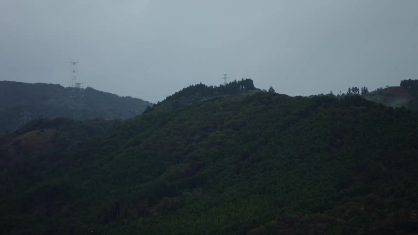 A bird flies over a hill with electrical towers on it