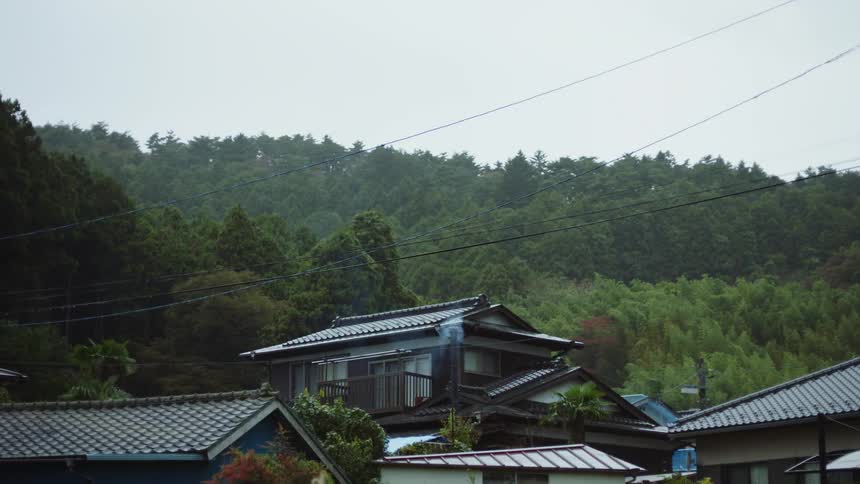 The view is of a small village that is located in the forest area
