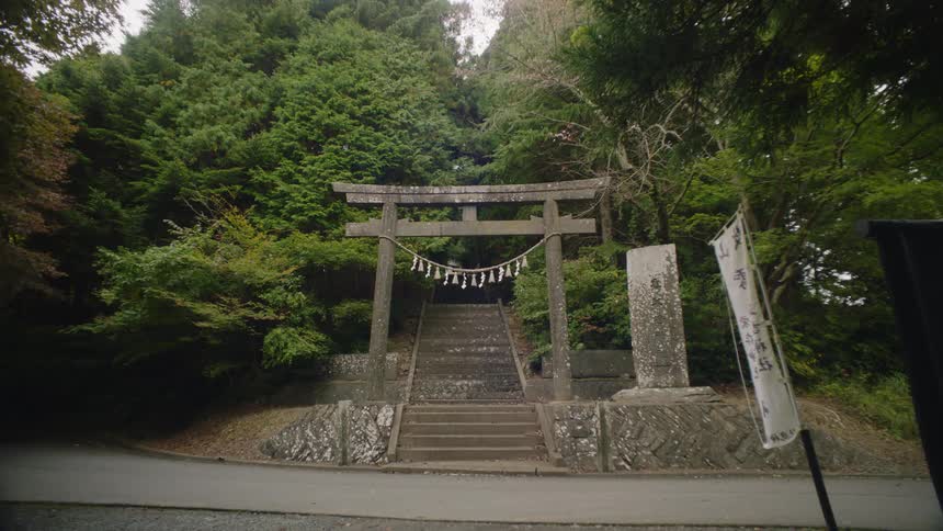A stairway surrounded by trees leads from the road into the woods