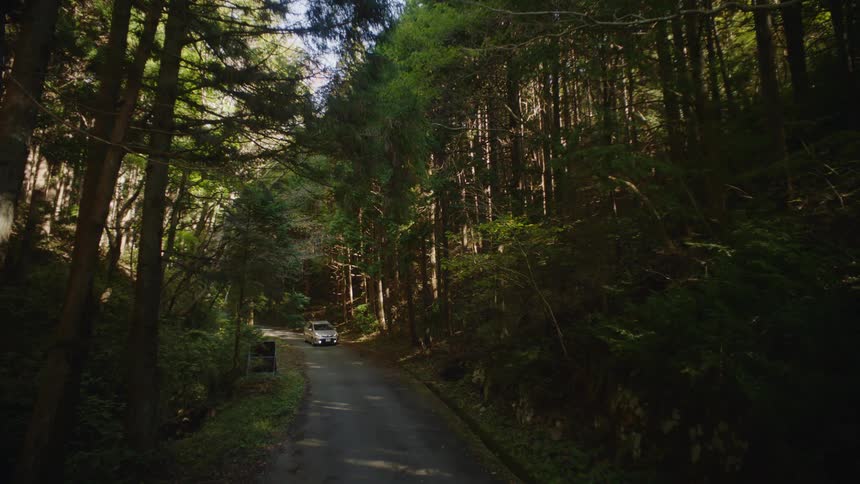 A car drives on the small road in the woods