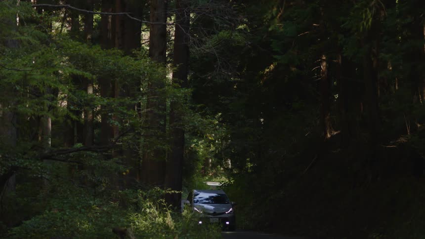 A car drives on the winding roads in the forest