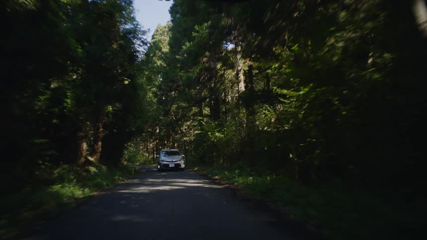 A view of a car driving through a forest