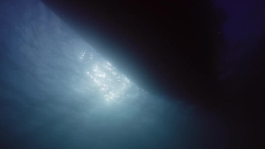 The sun shines in the dark water