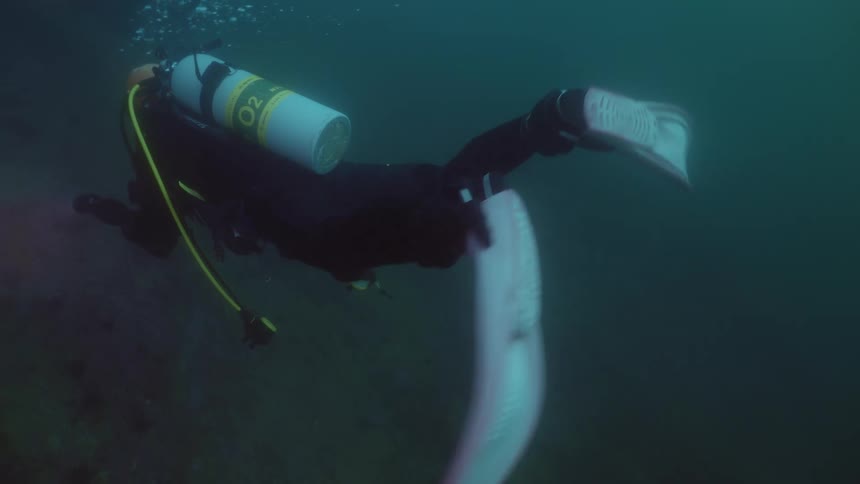 Diver wearing pink fins swimming underwater in the ocean