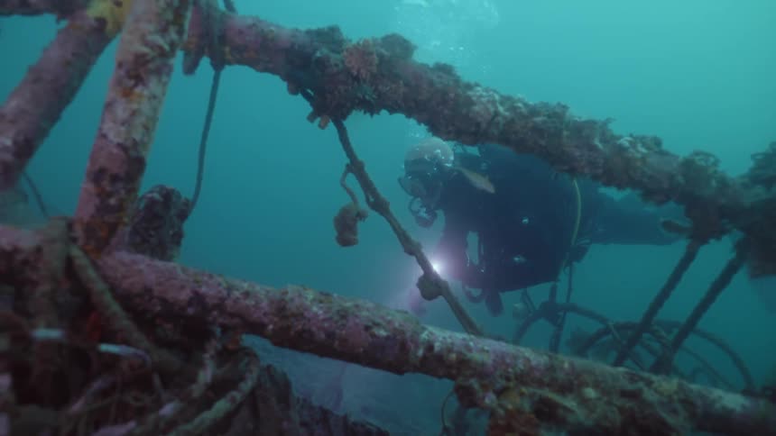 A person is looking at wreckage at the bottom of ocean