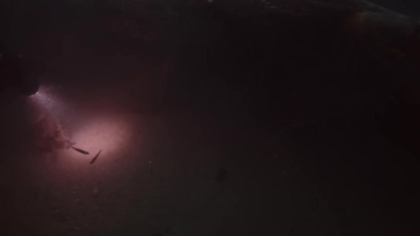 A person is scuba diving in the ocean water