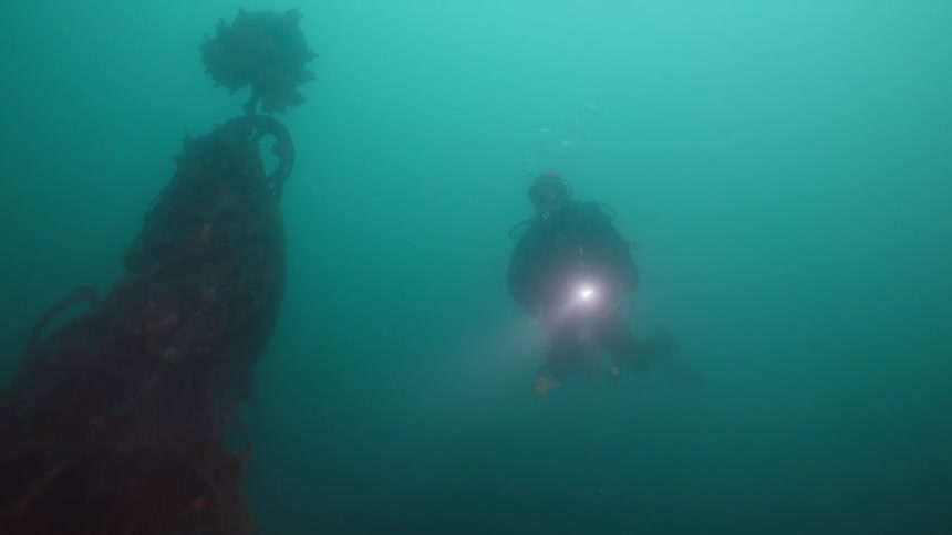 A person is exploring the ocean water