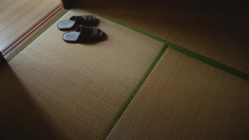A pair of slippers sit at the entrance to a room