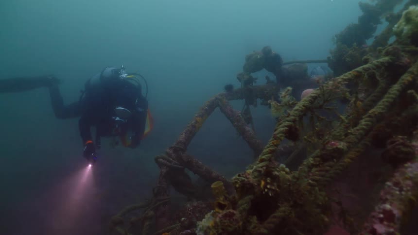 Two people are exploring the ocean together