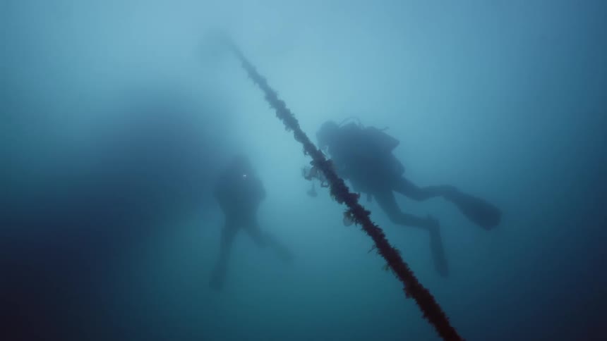 Two people are scuba diving in the ocean water