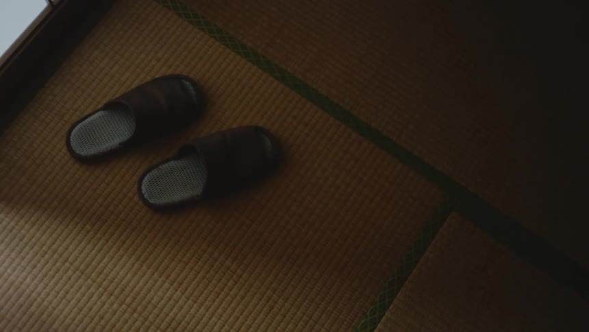 A pair of slippers is left on an indoor carpet in a house