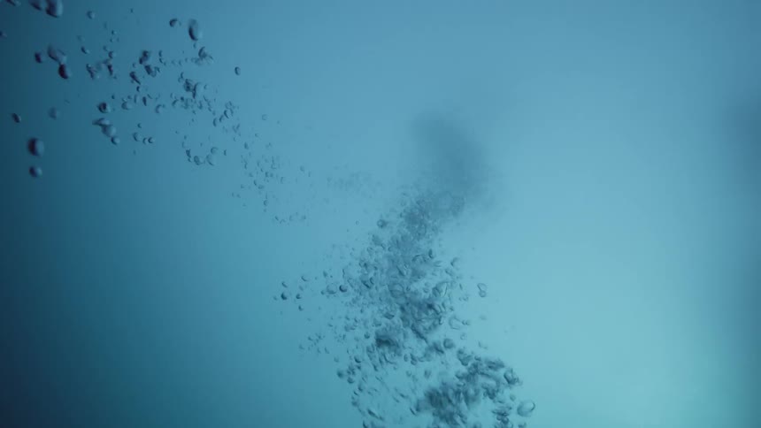 Clusters of bubbles rise toward the surface underwater